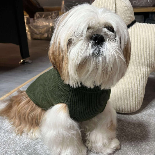 Pull Martin Sellier Alter Ego - Kaki | Le Dressing du Chien