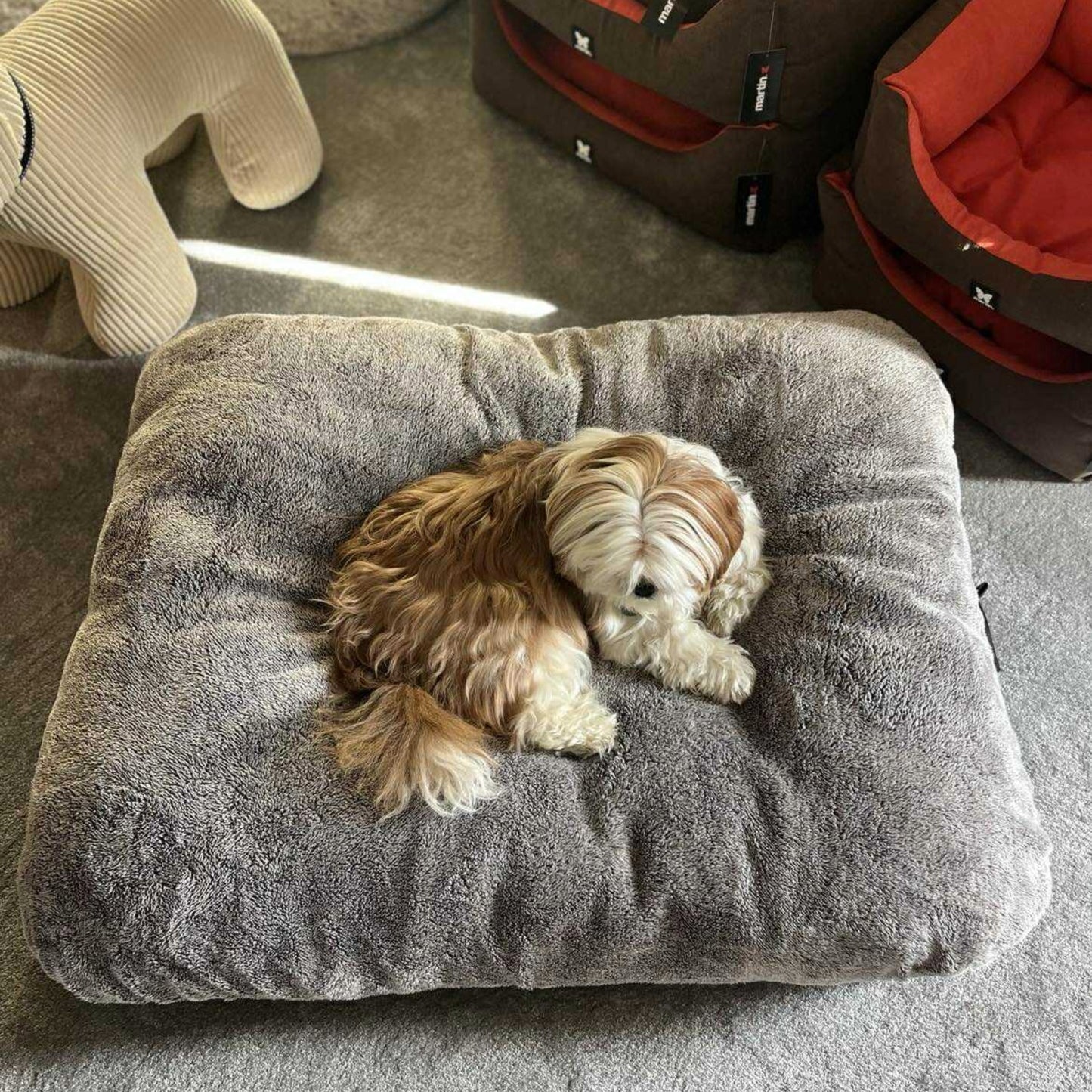 Coussin Double Épaisseur pour Chien - Ultra Confort & Moelleux | Le Dressing du Chien