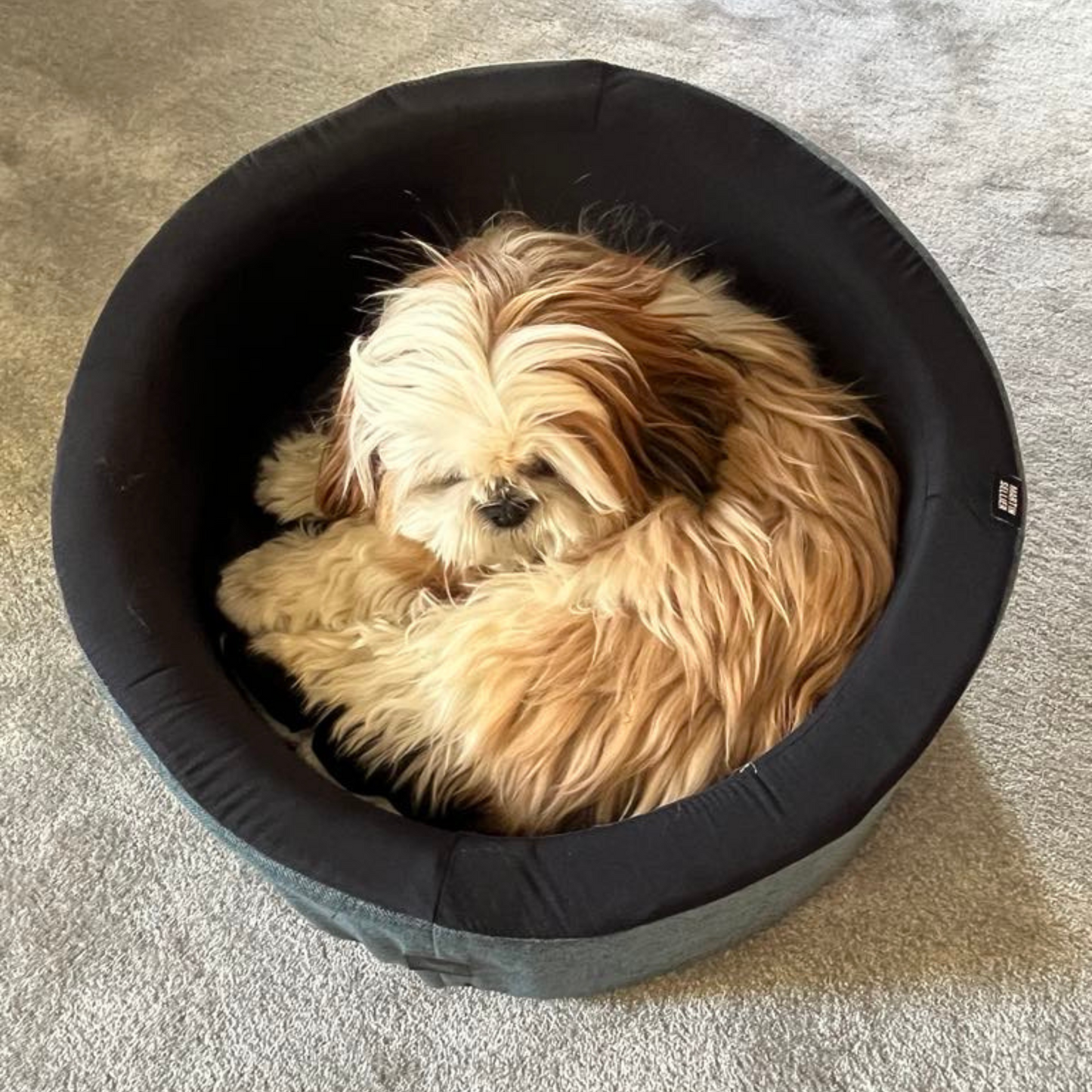 Panier Rond pour Chien avec Housse - Martin Sellier | Le Dressing du chien