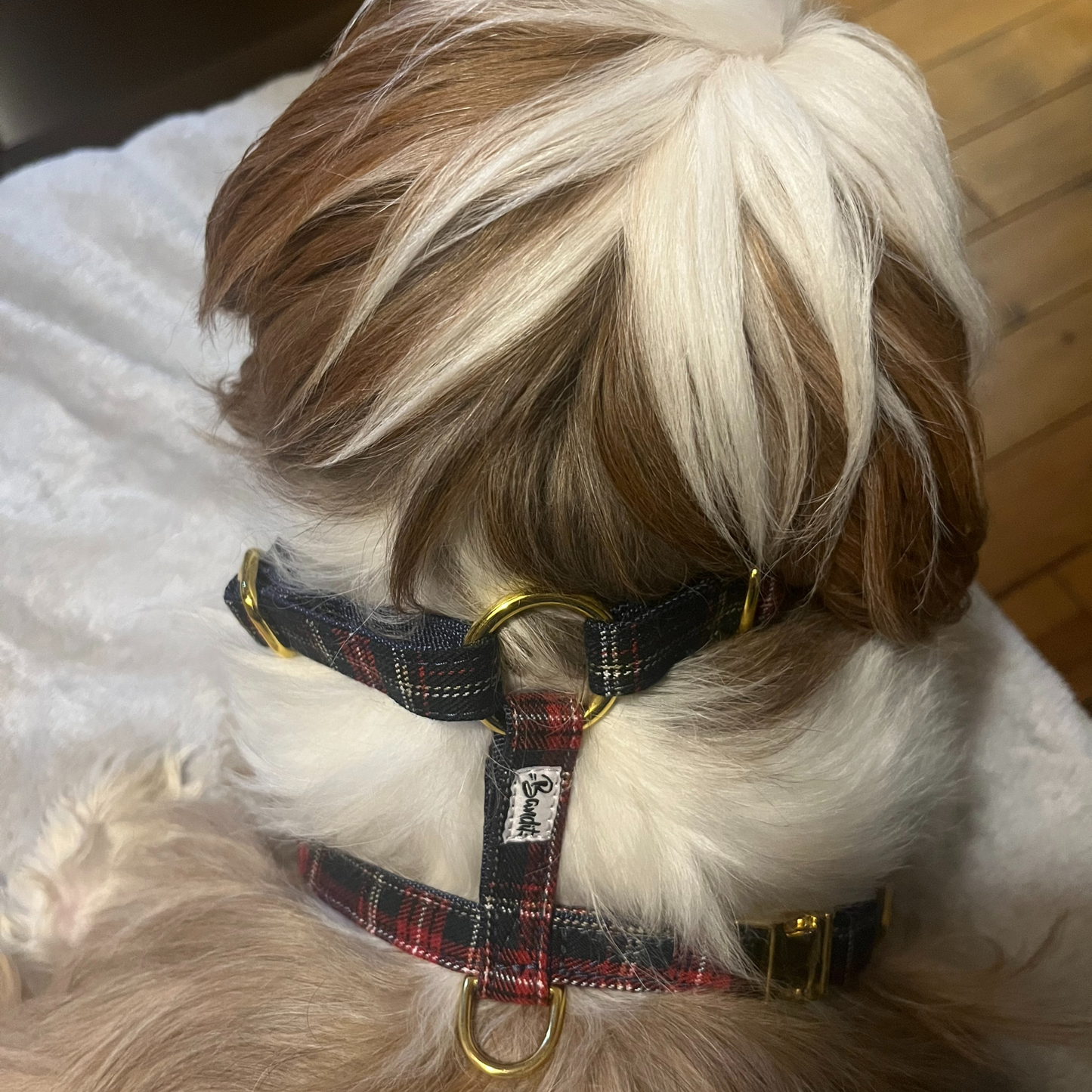 Harnais pour Chien "Bandit" - Tartan Écossais | Confort & Style | Le Dressing du Chien