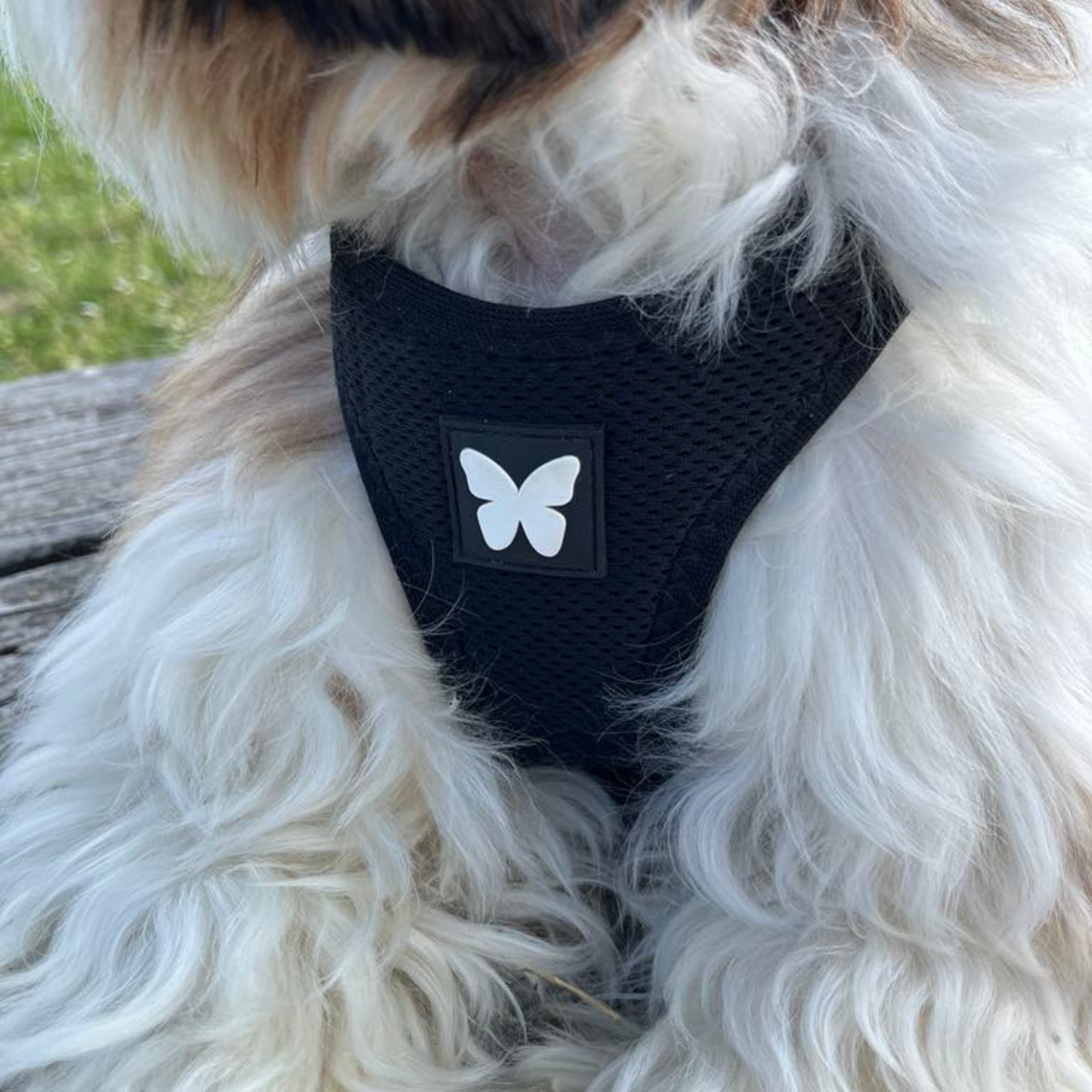 Harnais Martin Sellier Rose Fluo - Confort & Sécurité | Le Dressing du Chien