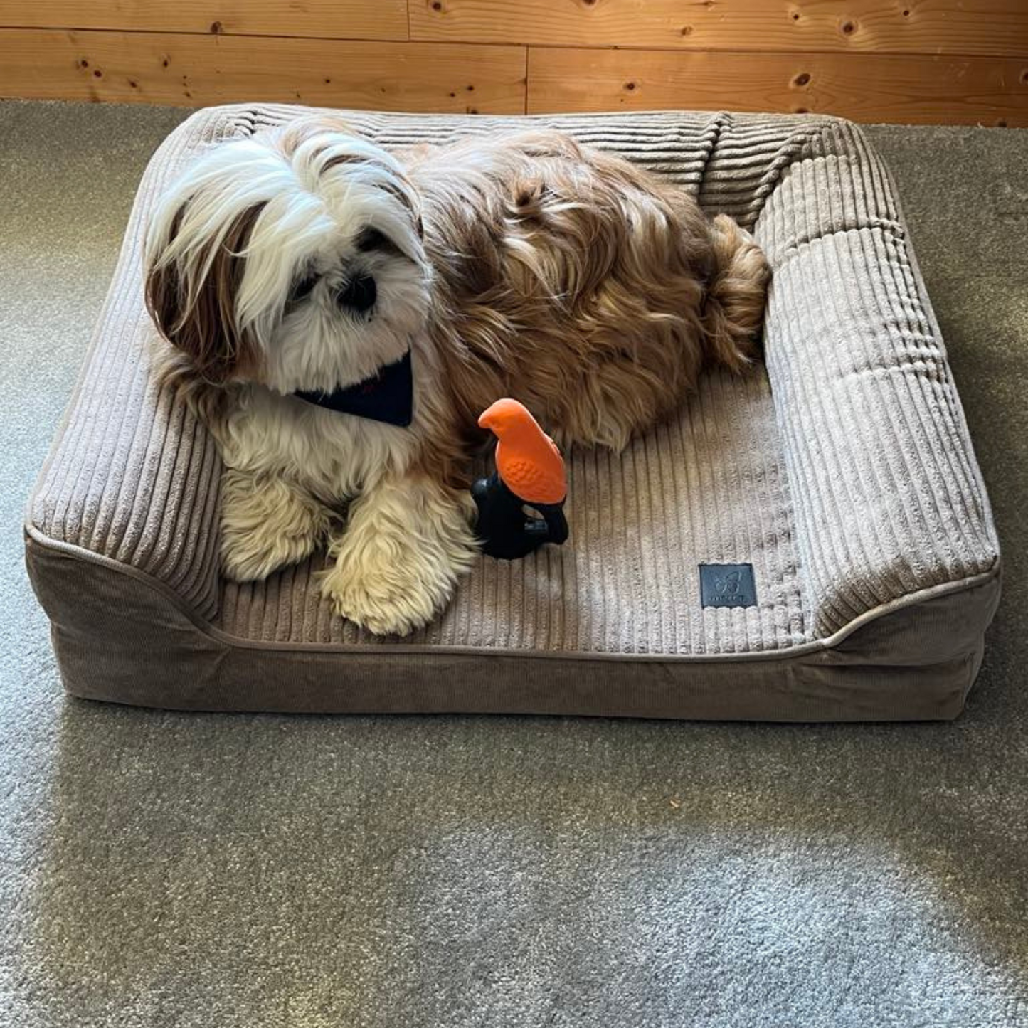 Canapé Royal Martin Sellier 70 cm - Confort Royal à la Maison | Le Dressing du Chien