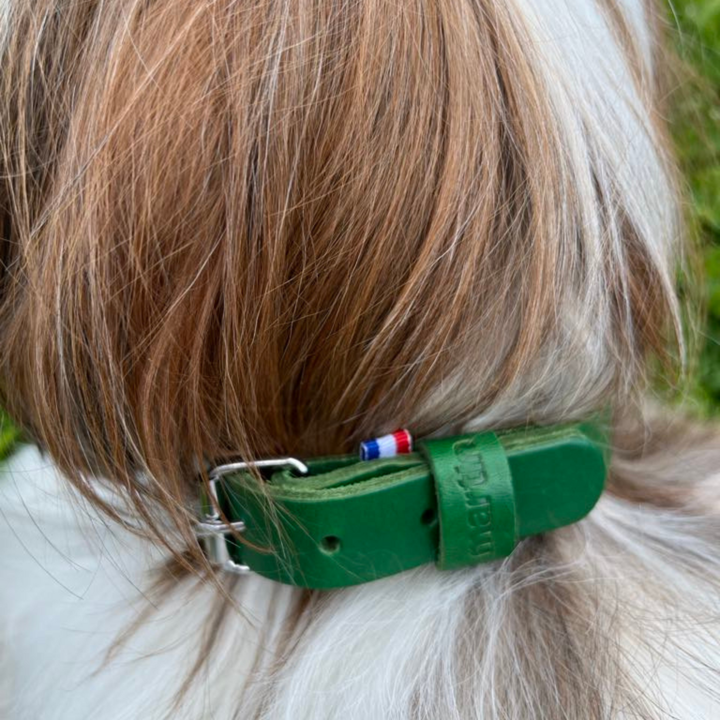 Collier Cuir Vert Martin Sellier - Élégance & Robuste | Le Dressing du Chien