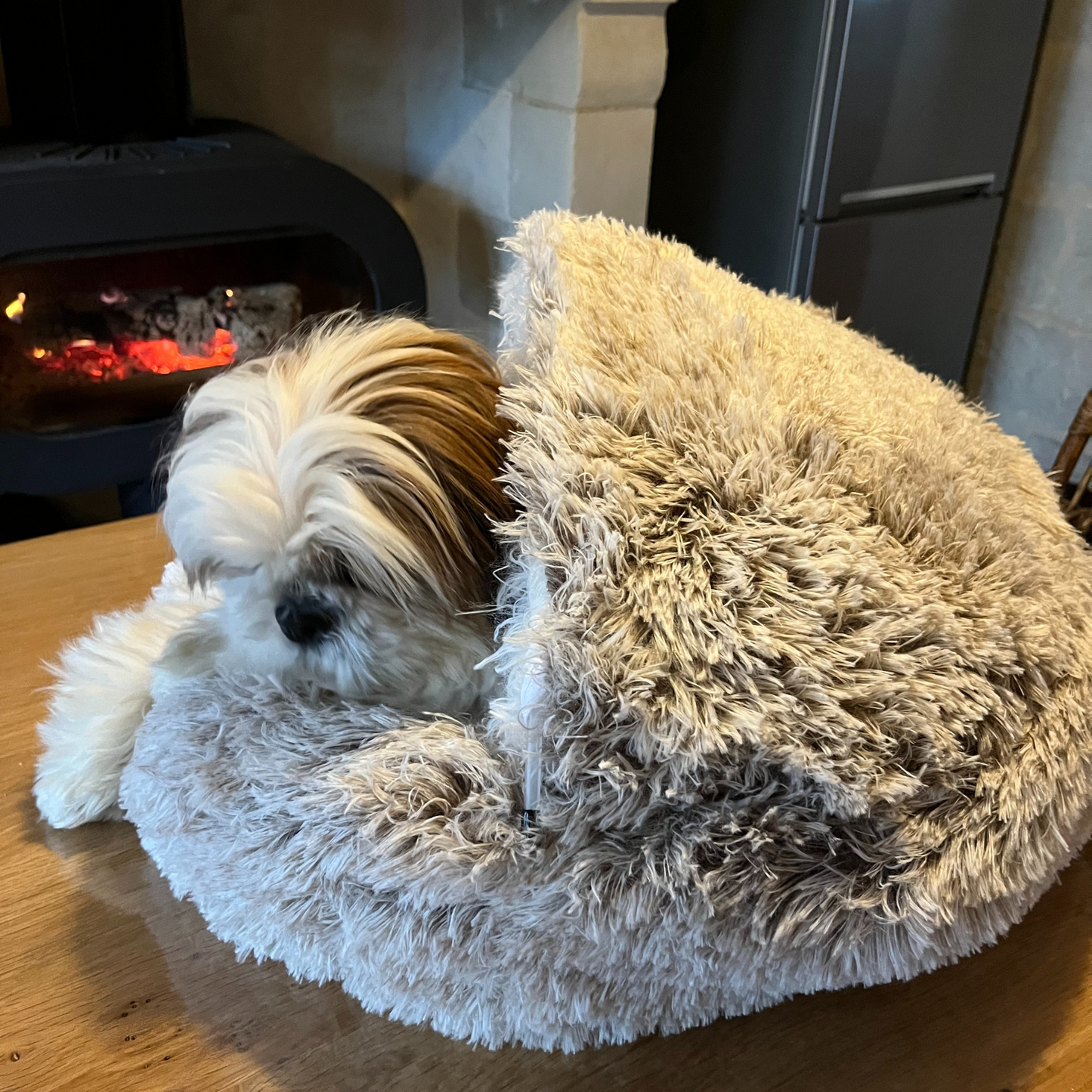 Coussin bulle BOBBY - poilu beige