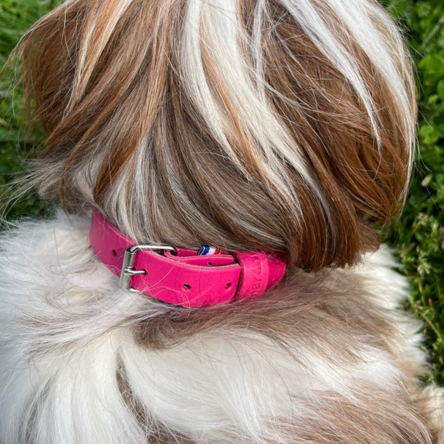Collier cuir MARTIN SELLIER pleine fleur Bleu ou Rose