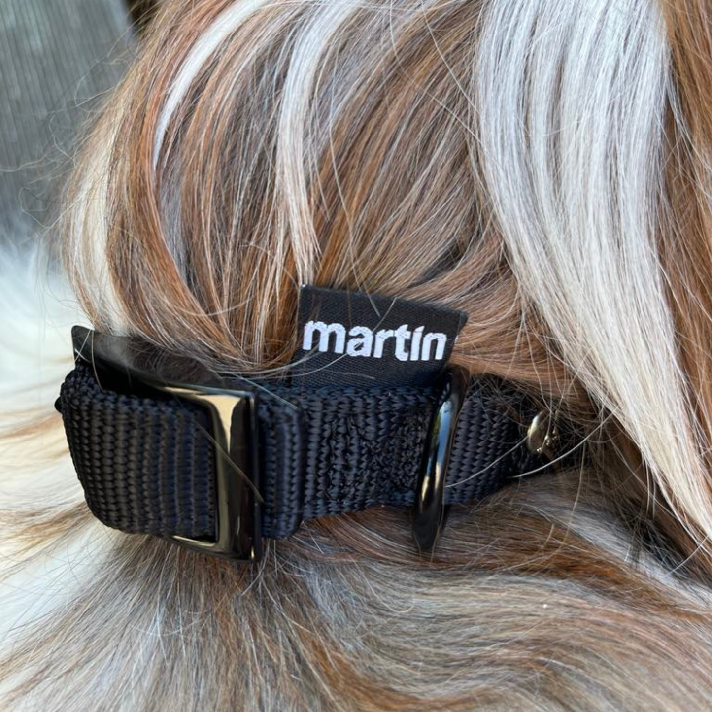 Collier CONFORT nylon Martin SELLIER MADE IN FRANCE