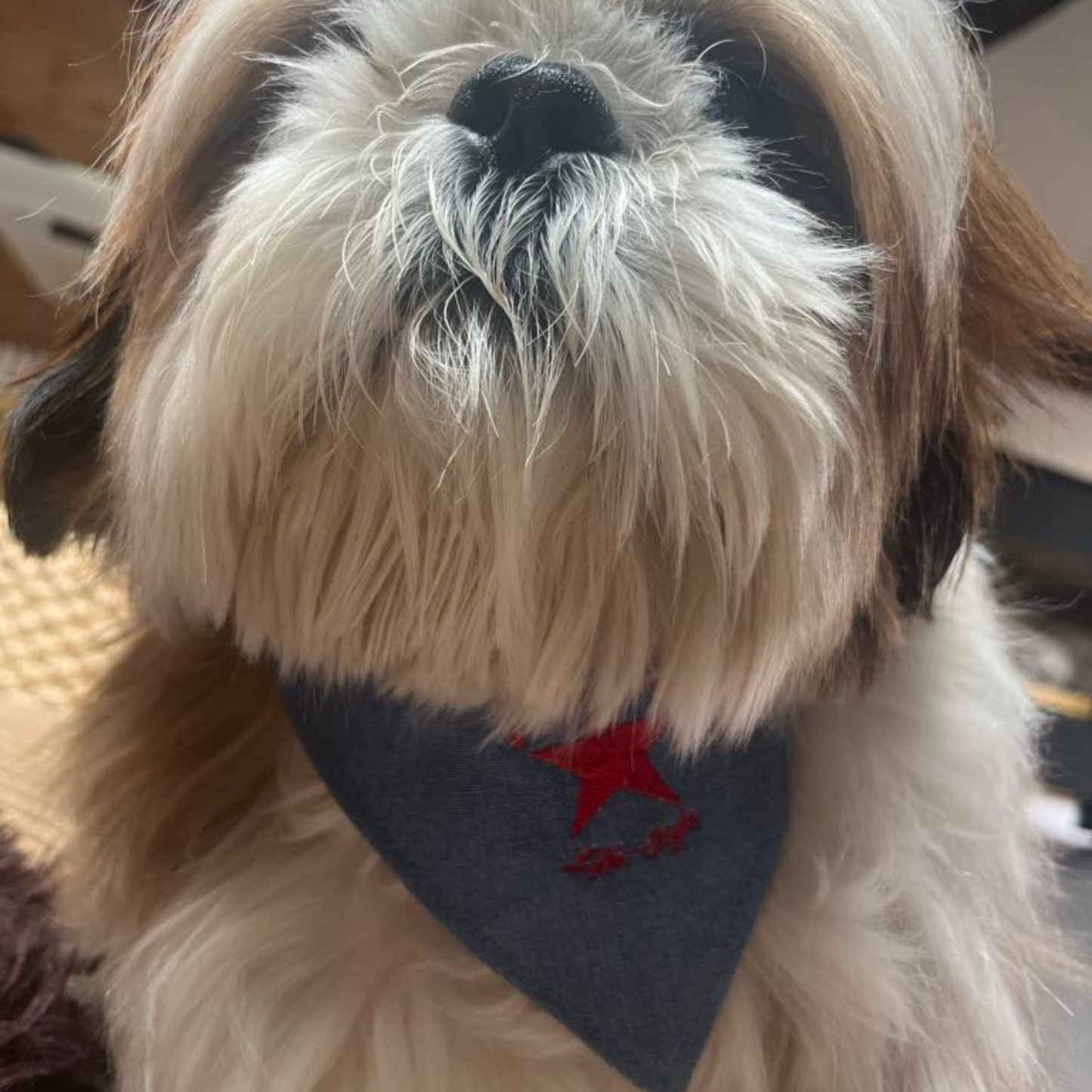 Bandana DOGGYDOLLY - bleu clair jeans pour chien et chiot