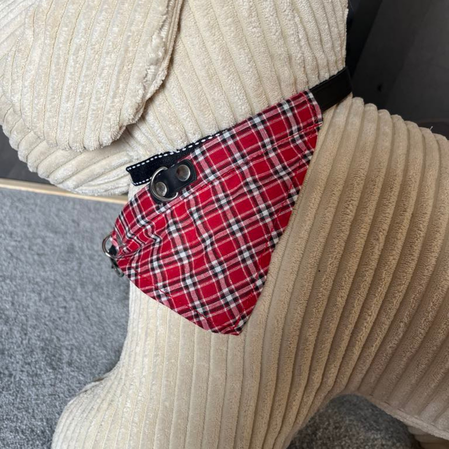 Collier en Cuir avec Bandana Intégré pour Chien - Élégance & Confort | Le Dressing du Chien
