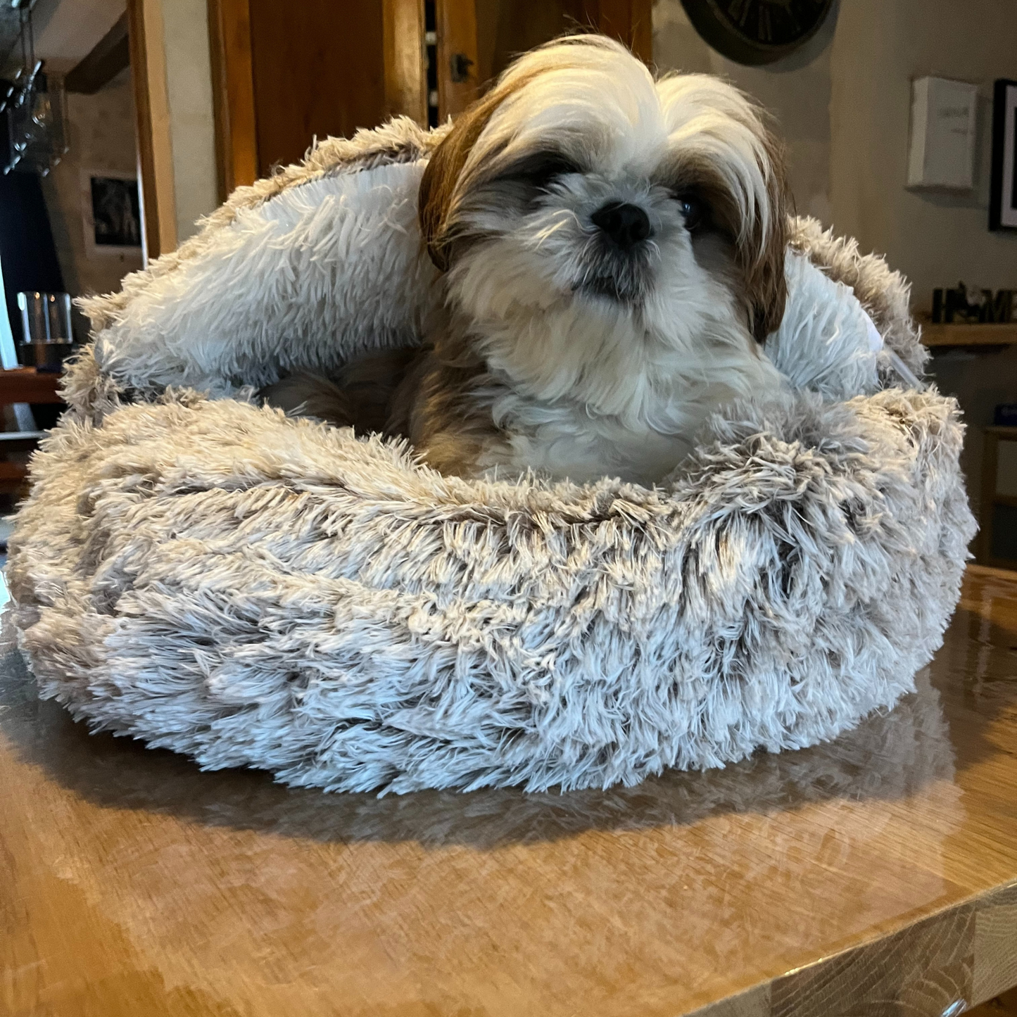Coussin bulle BOBBY - poilu beige
