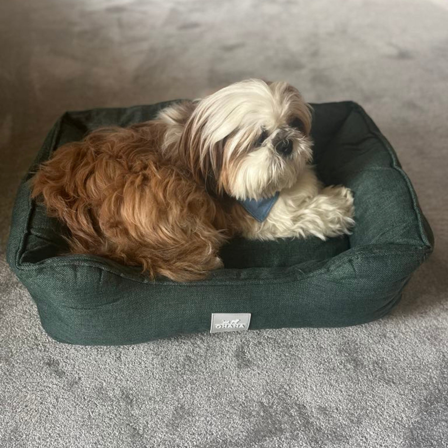 Panier Ohana Vienna - Confort & Élégance pour votre Compagnon | Le Dressing du Chien