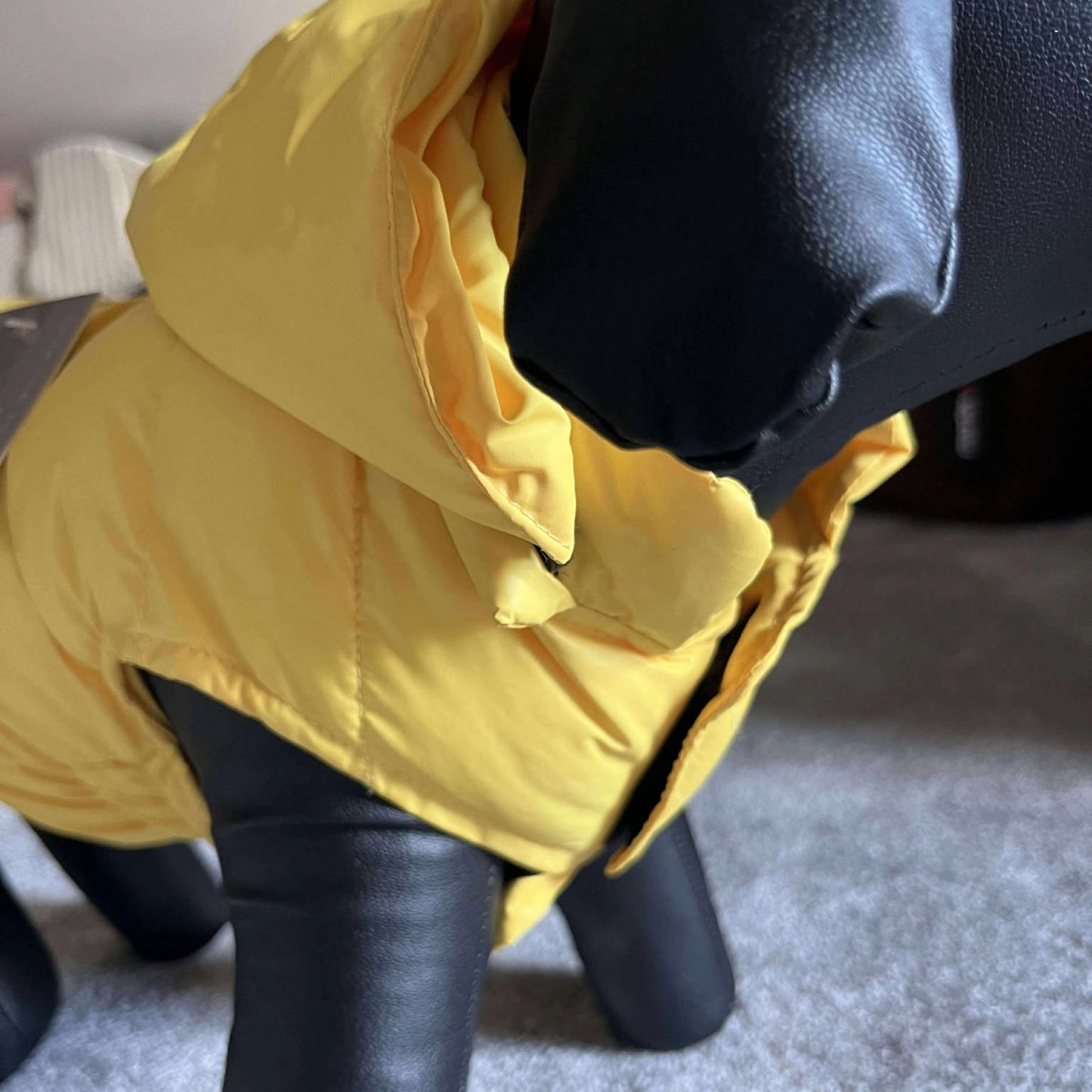 Doudoune Free Spirit - Jaune ou Rouge - Léger, Déperlant, Style Actif | Le Dressing du Chien