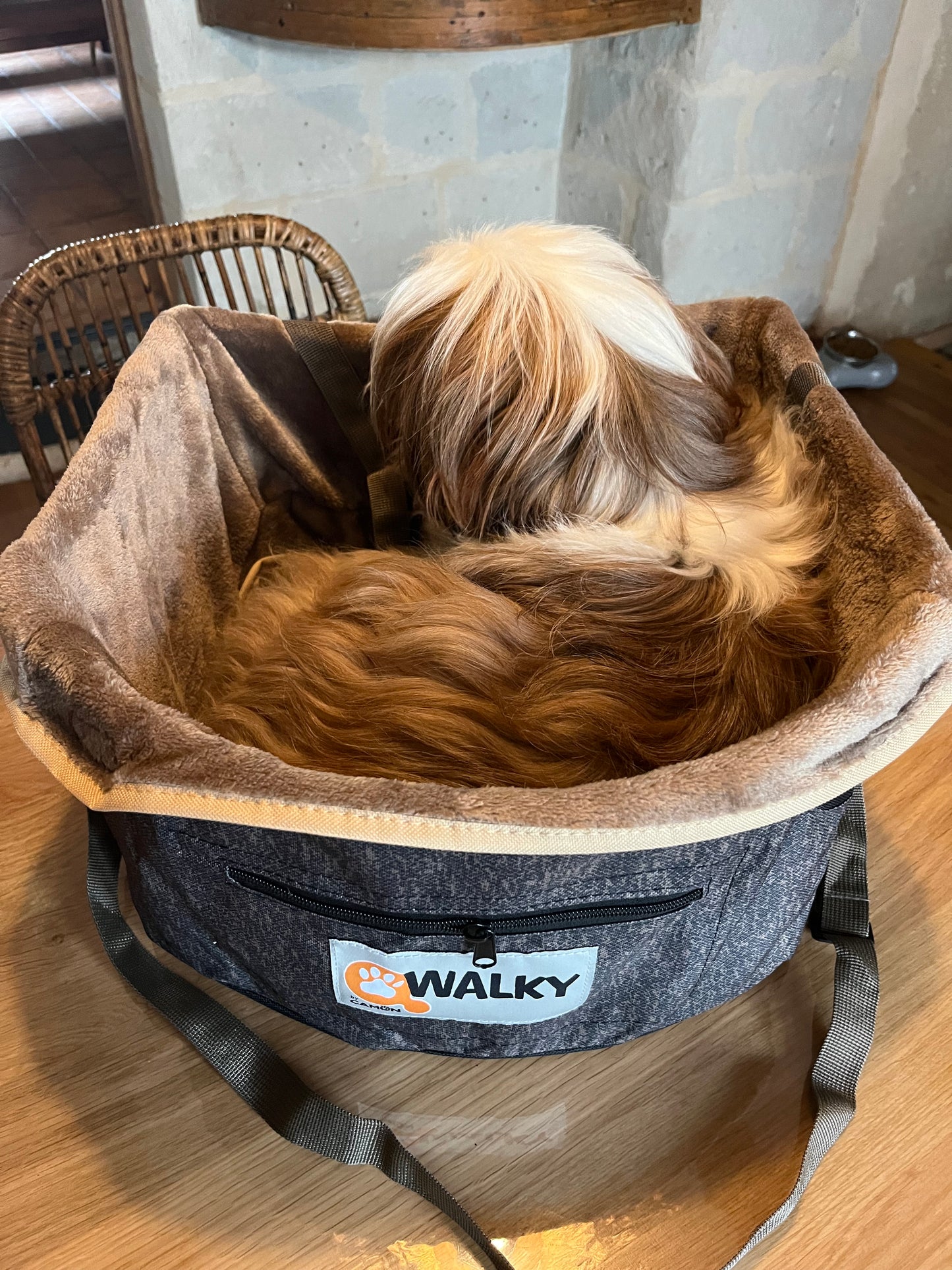 Siège Auto Walky pour Chien - Sécurité & Confort | Le Dressing du Chien