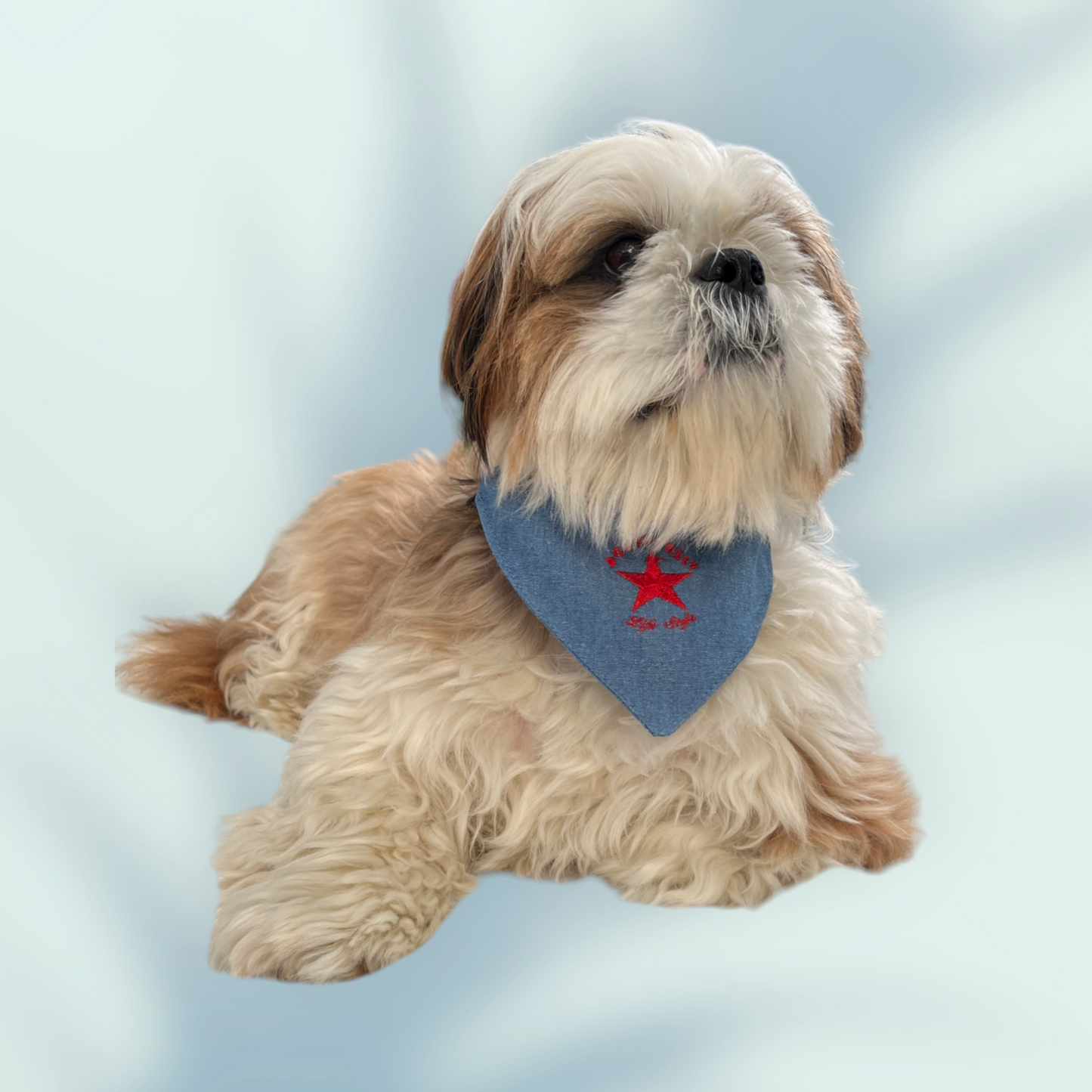 Bandana DOGGYDOLLY - bleu clair jeans pour chien et chiot