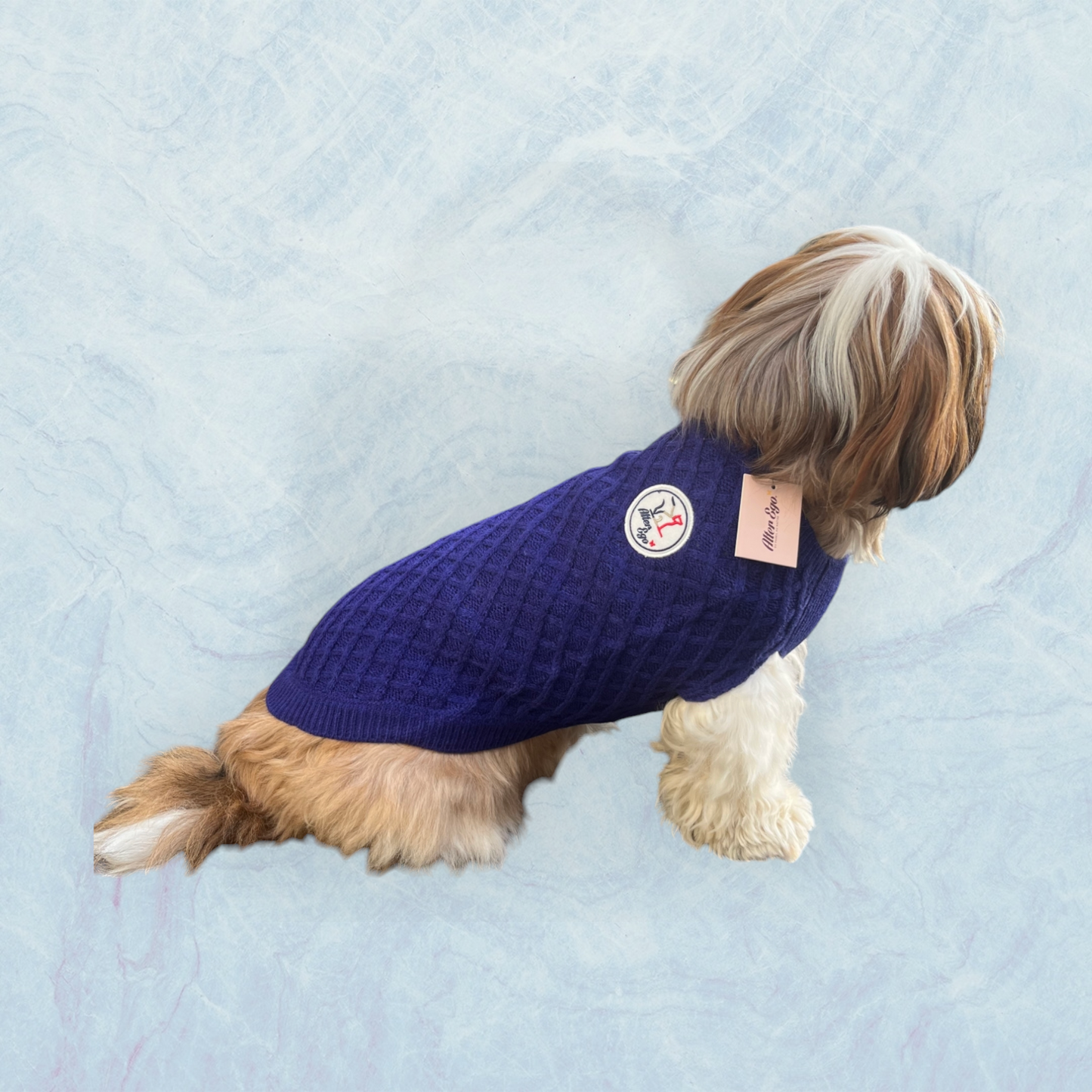 Pull Chasseur Alpin bleu - Alter Ego - MARTIN SELLIER