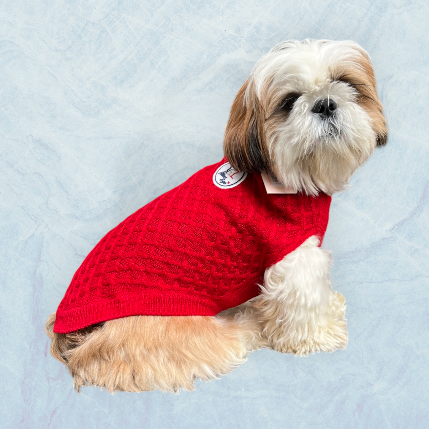 Pull Chasseur Alpin rouge - Alter Ego - MARTIN SELLIER