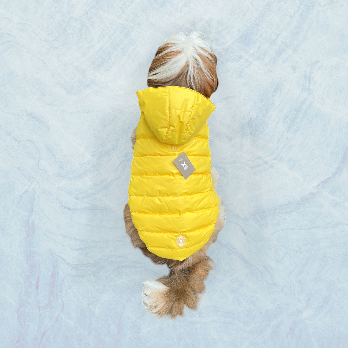 Doudoune Free Spirit -Jaune pour chien et chiot