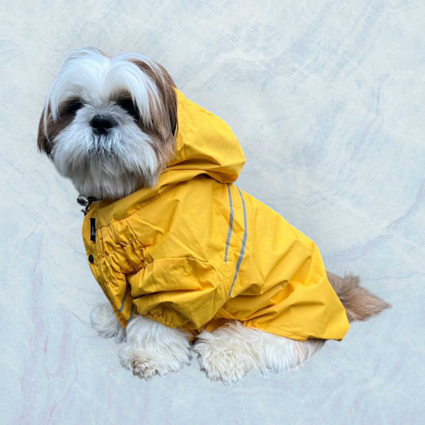 Imperméable - Saint-Malo - Jaune - MARTIN SELLIER