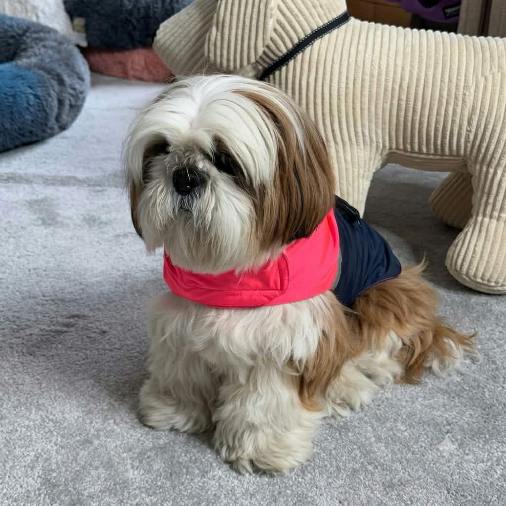 Imperméable Rose & Marine Martin Sellier | Le Dressing du Chien