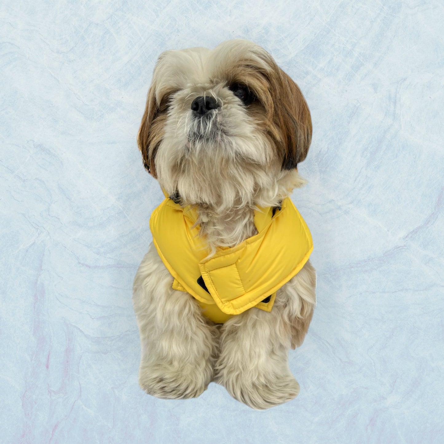 Doudoune Free Spirit -Jaune pour chien et chiot