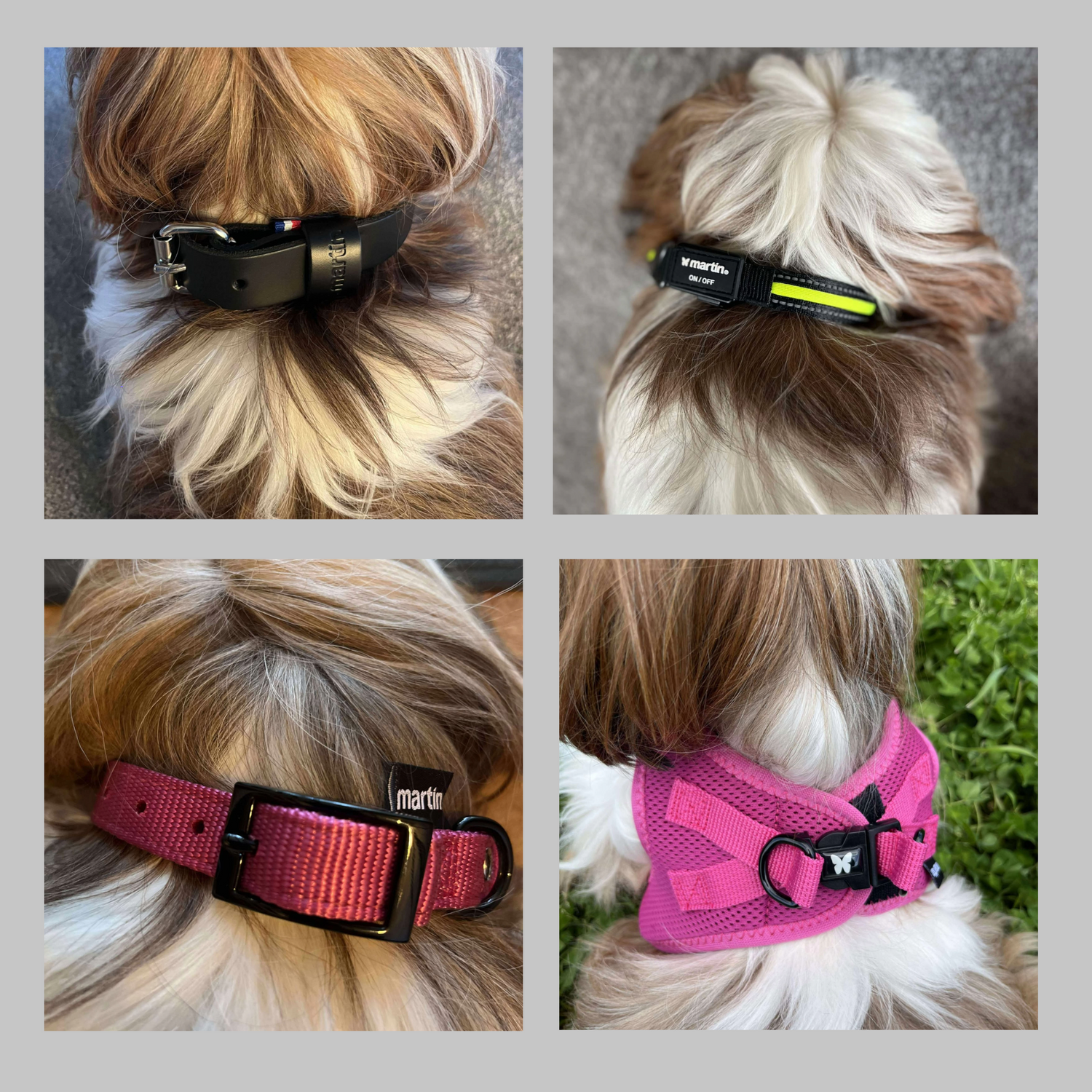 Colliers, Harnais et Bandanas