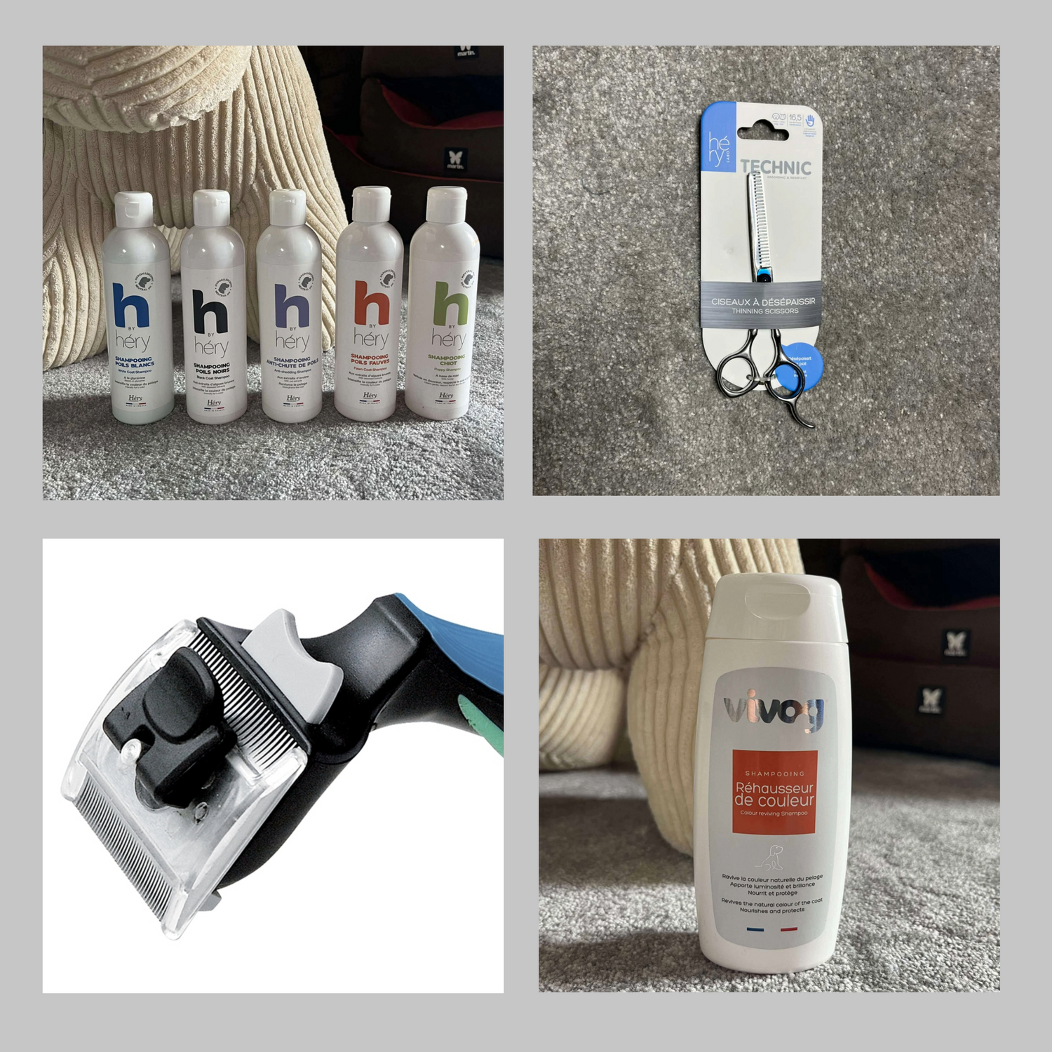 Soins et Bien-être pour chien