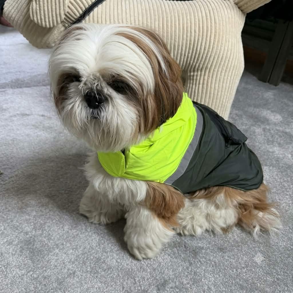 Imperméable Kaki et jaune Martin Sellier | Le Dressing du Chien