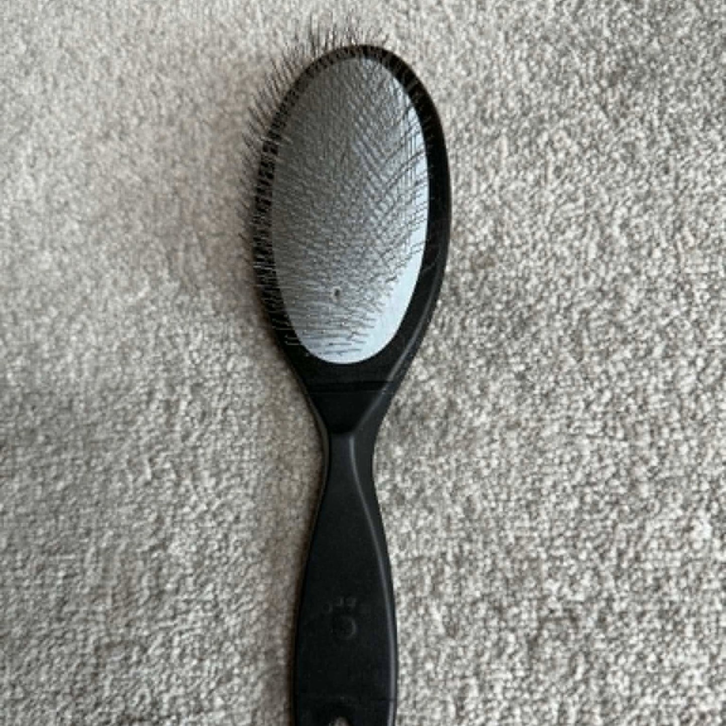 Brosse à picots souples - Démêlage en douceur | Le Dressing du Chien