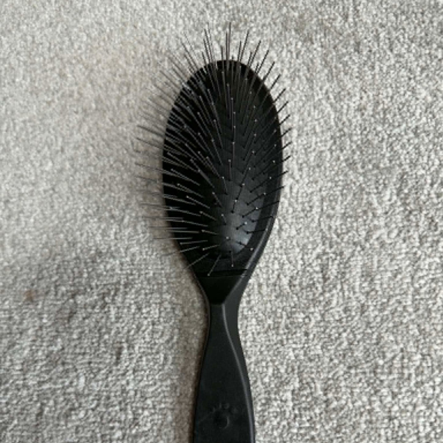 Brosse luxueuse à picots longs 2 cm - Spécial pelages denses | Le Dressing du Chien