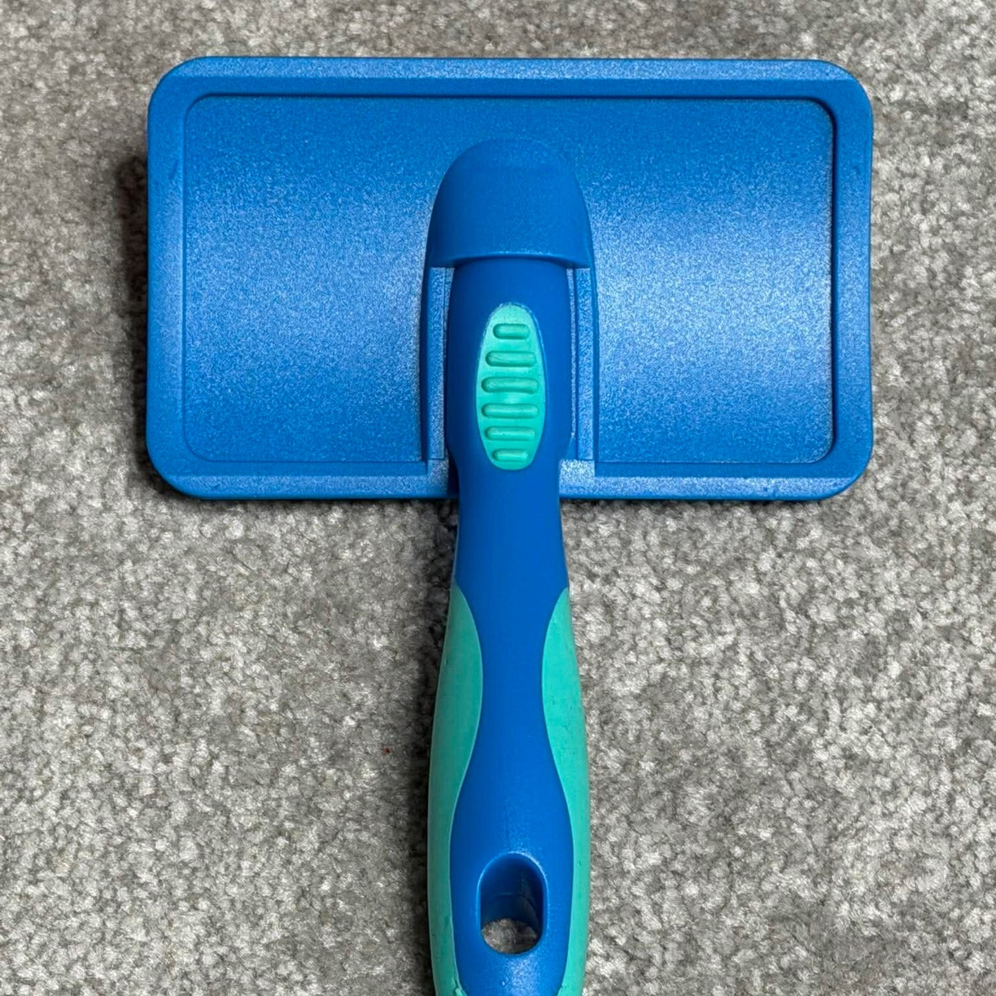 Carde Massage Poils Courts - Picots Souples en Caoutchouc | Le Dressing du Chien