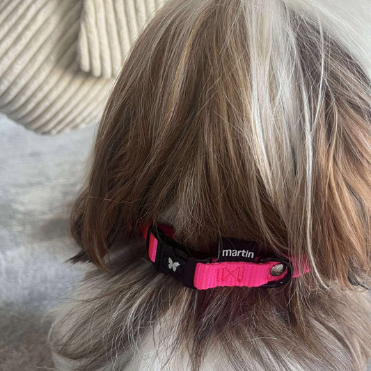 Collier Rose en Nylon Martin Sellier - Confortable, Réglable & Résistant | Le Dressing du Chien