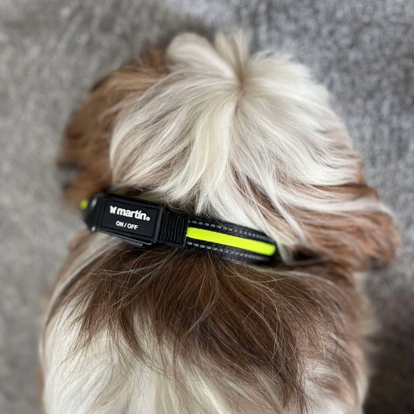 Collier Lumineux Rechargeable USB Martin Sellier | Le Dressing du Chien