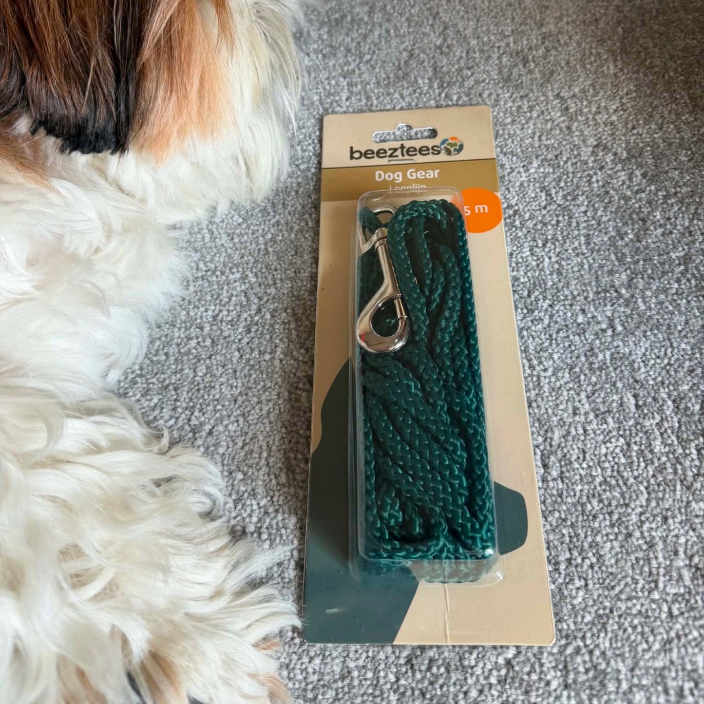 Longe ronde 5 mètre - 6mm | Liberté & contrôle | Le Dressing du Chien