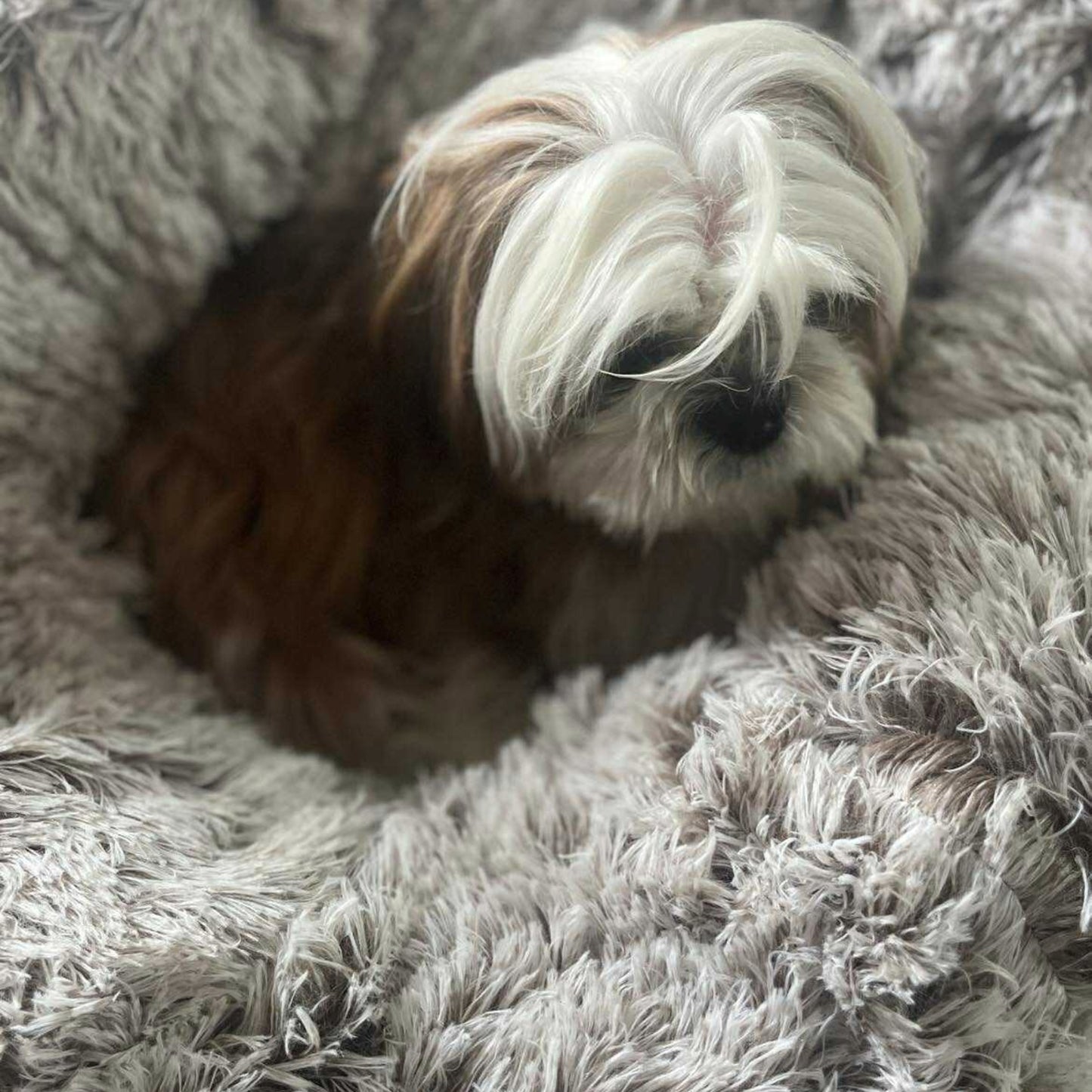Coussin Poilu Ultra Doux Beige pour Chien - Confort Apaisant & Anti-Stress - Haute Qualité | Le Dressing du Chien