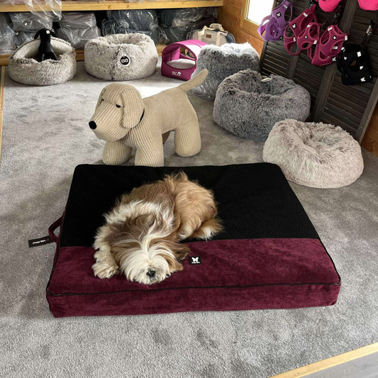 Coussin Martin Sellier Master Élégant Rouge | Le dressing du chien