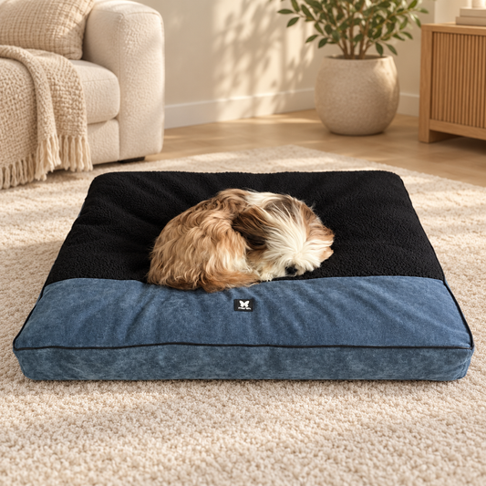 Coussin Martin Sellier Master Élégant Bleu | Le Dressing du Chien