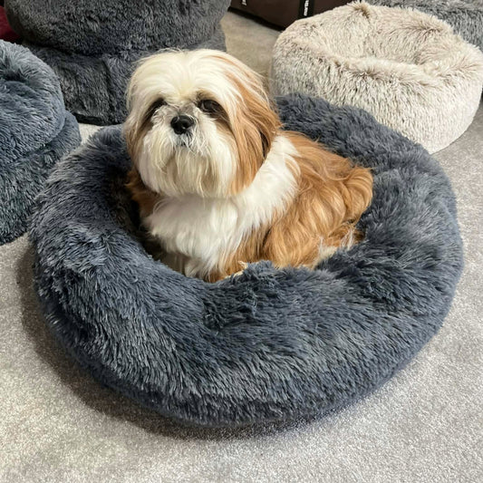 Coussin Apaisant Ultra Moelleux - Beezteez | Le Dressing du Chien