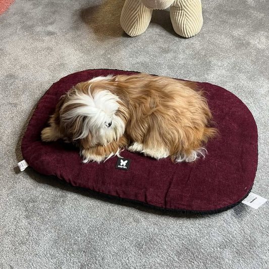 Coussin Ovale Martin Sellier - Confort Premium pour Chien | Le Dressing du Chien