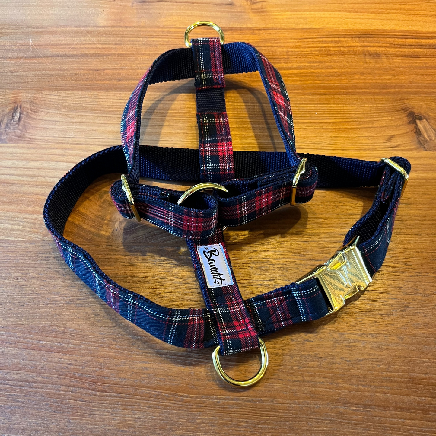 Laisse écossaise BANDIT - L 15 mm longueur 1 m 20