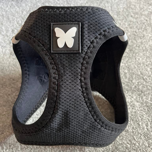 Harnais Martin Sellier Noir - Confort & Sécurité | Le Dressing du Chien