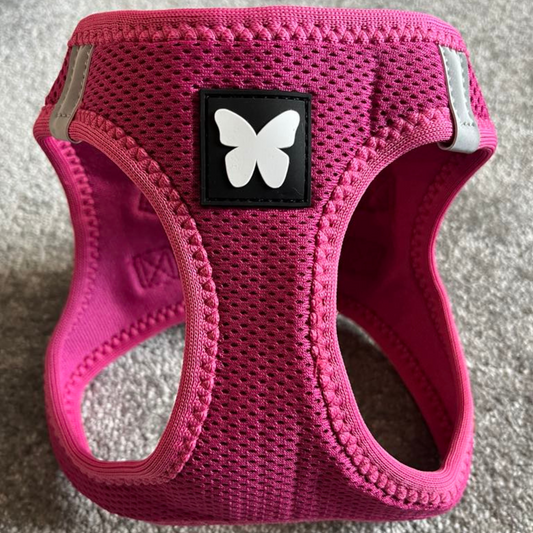 Harnais Martin Sellier Rose - Confort & Sécurité | Le Dressing du Chien