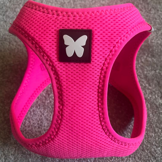 Harnais Martin Sellier Rose Fluo - Confort & Sécurité | Le Dressing du Chien