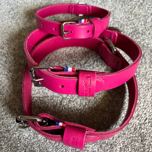 Collier cuir MARTIN SELLIER pleine fleur Bleu ou Rose