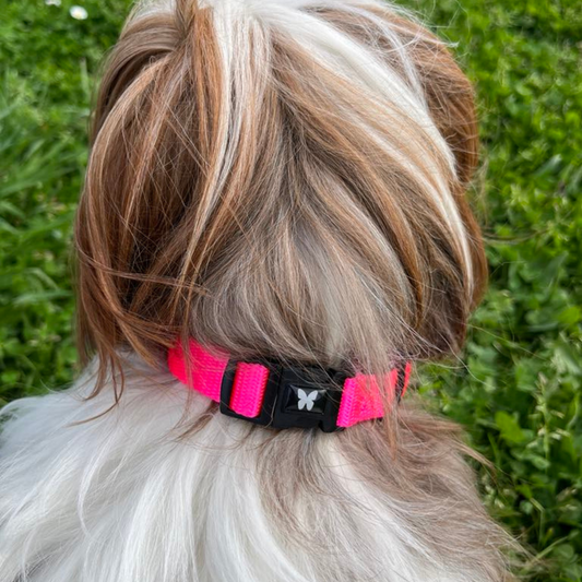 Collier Nylon MARTIN SELLIER rose