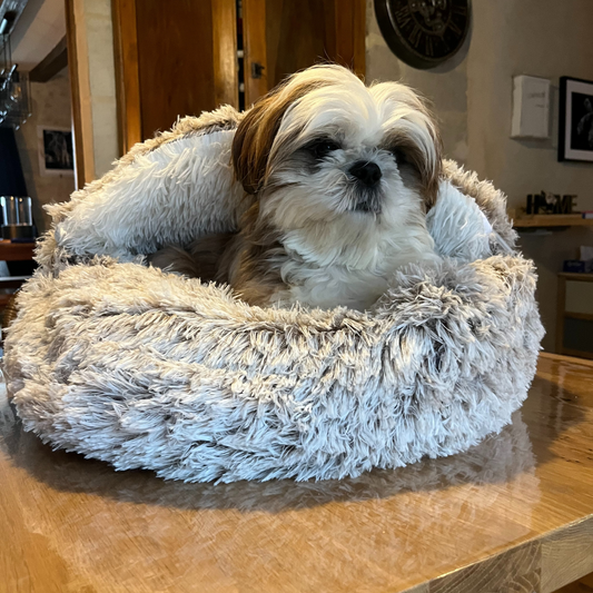 Coussin bulle BOBBY - poilu beige