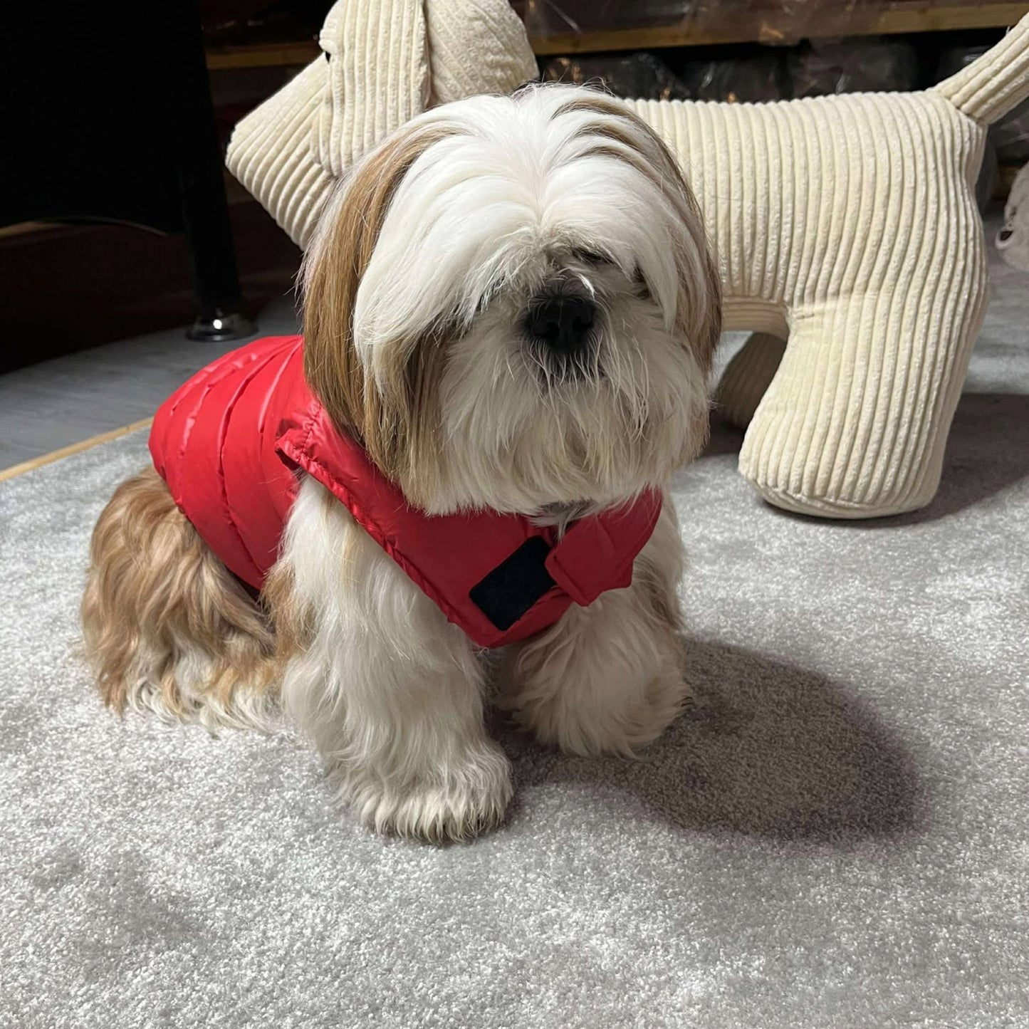 Doudoune Martin Sellier - Rouge | Le Dressing du Chien