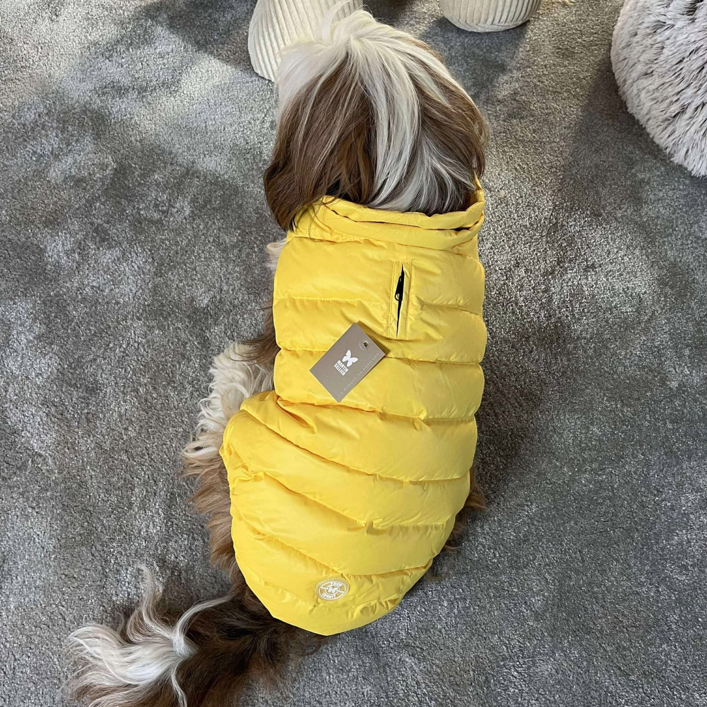 Doudoune Martin Sellier - Jaune | Le Dressing du Chien