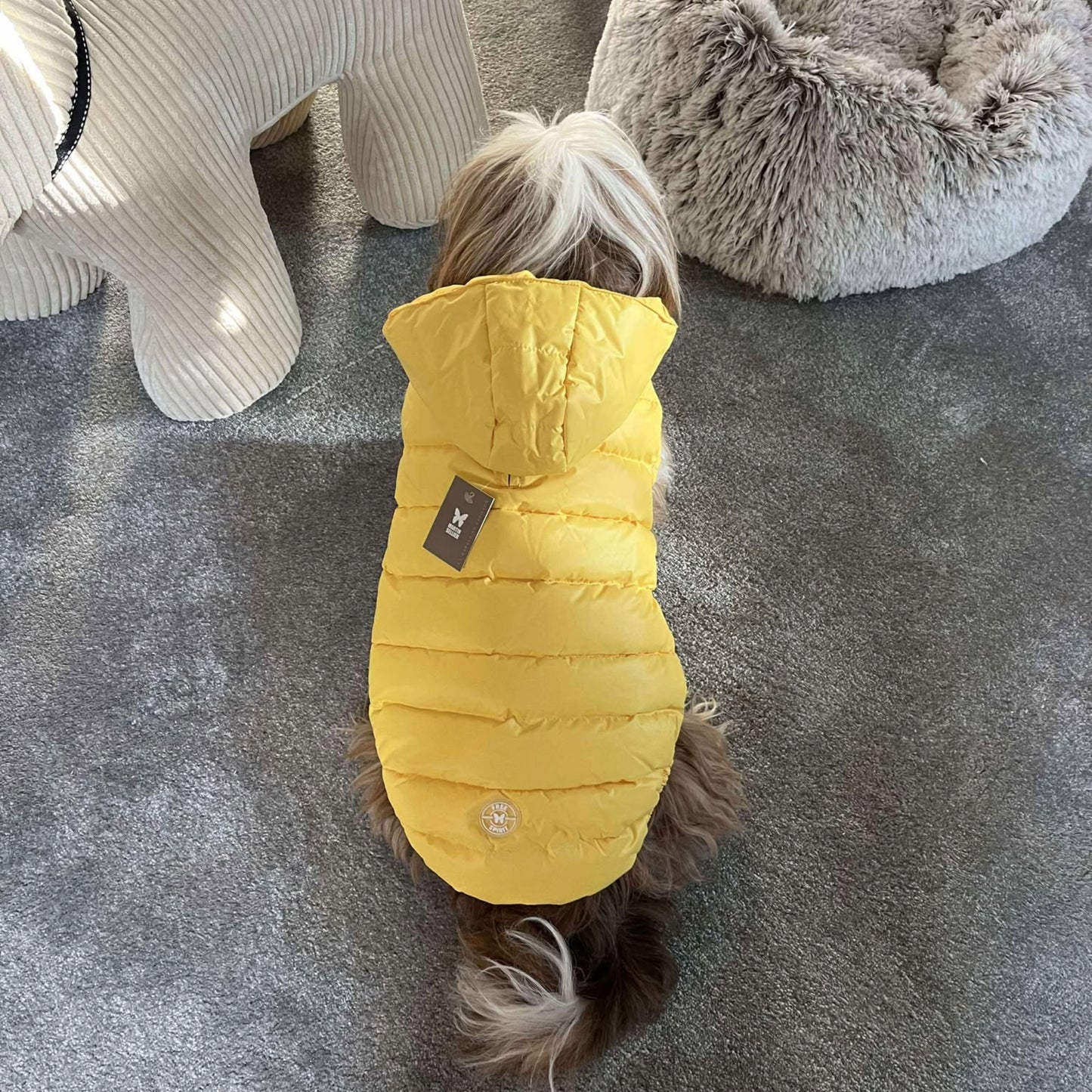 Doudoune Martin Sellier - Jaune | Le Dressing du Chien
