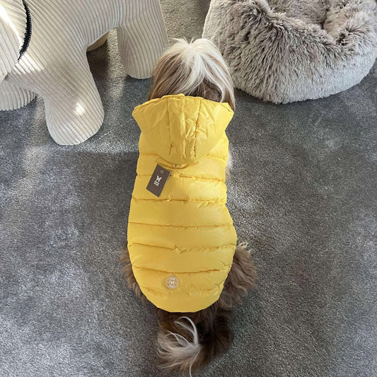 Doudoune Martin Sellier - Jaune | Le Dressing du Chien