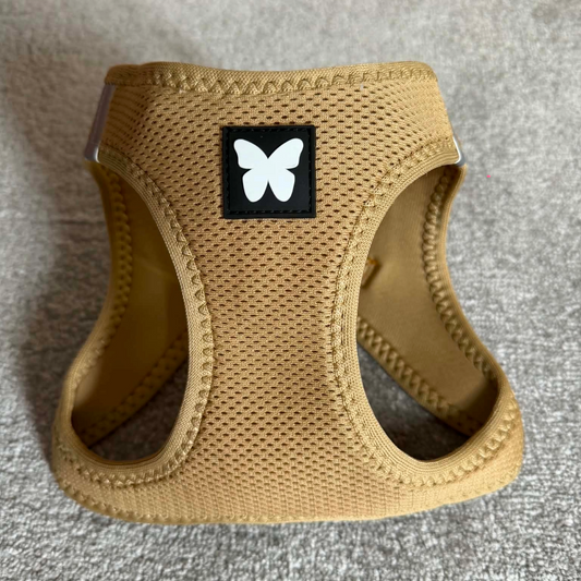 Harnais Martin Sellier Beige - Confort & Sécurité | Le Dressing du chien