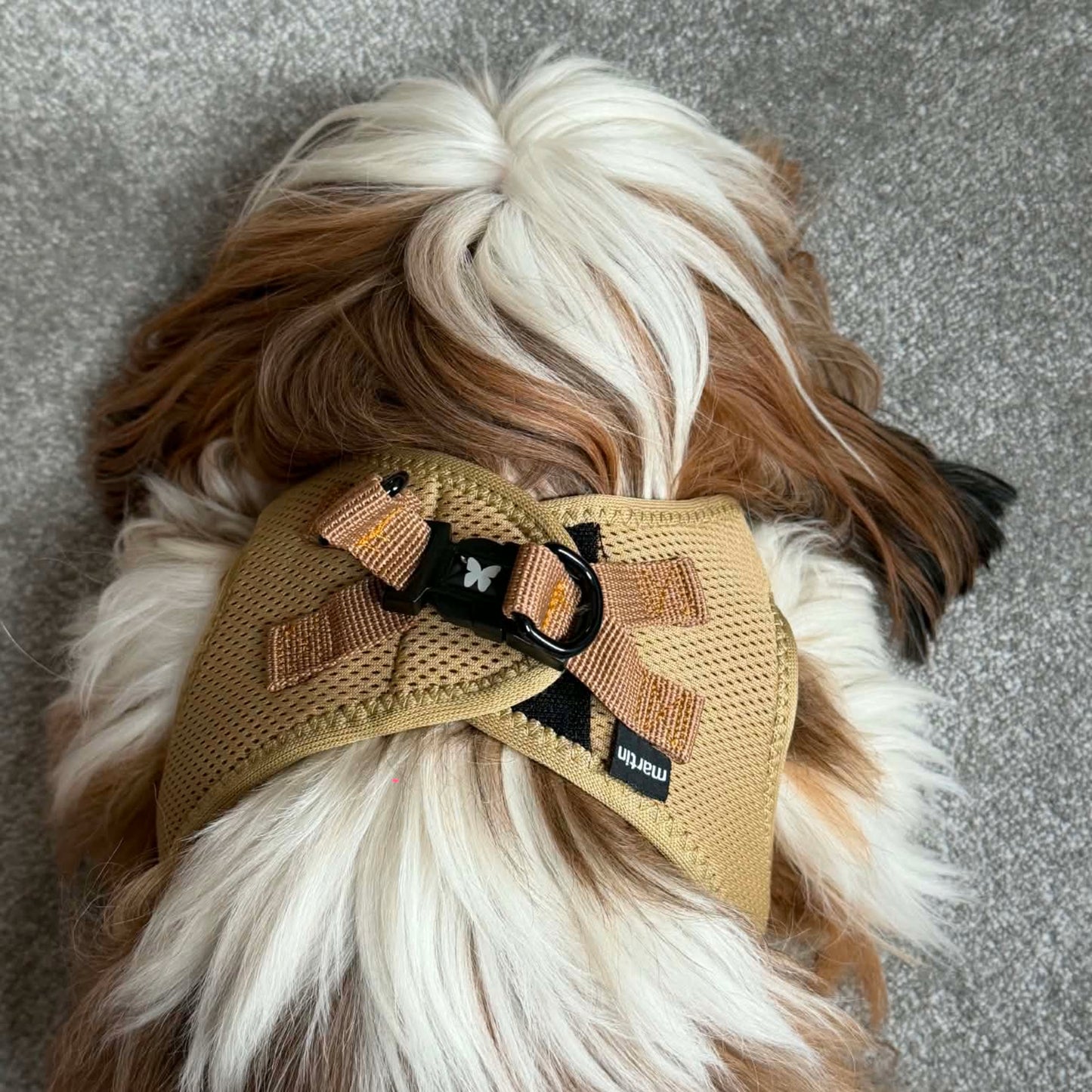 Harnais Martin Sellier Beige - Confort & Sécurité | Le Dressing du chien